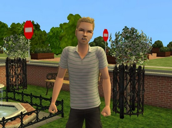 snapshot_7df039bf_bfd533de.jpg