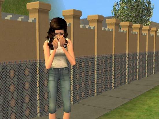 snapshot_7df039bf_dfd534bb.jpg