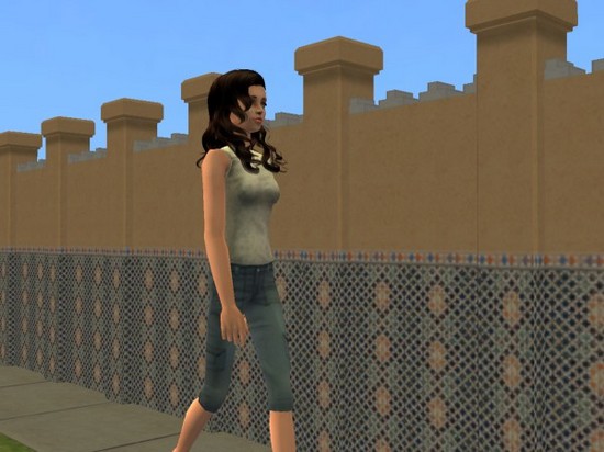 snapshot_7df039bf_5fd53513.jpg