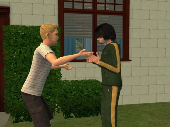 snapshot_7df039bf_ffd53b1c.jpg
