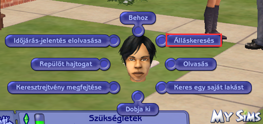 My Sims