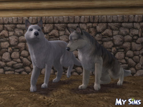 My Sims
