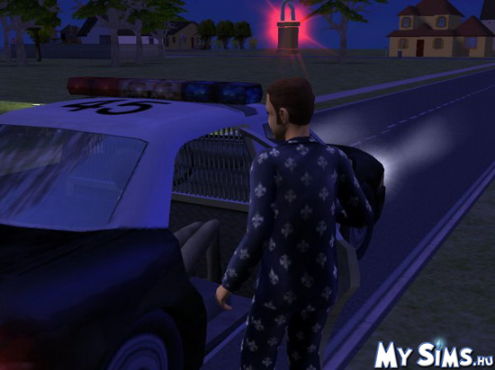 My Sims
