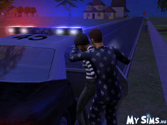 My Sims
