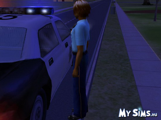 My Sims