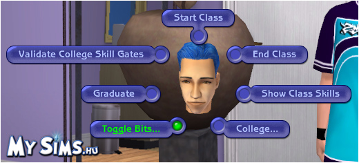 My Sims