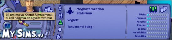 My Sims