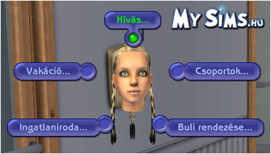 My Sims