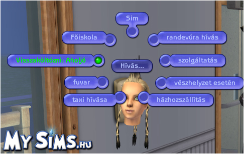 My Sims