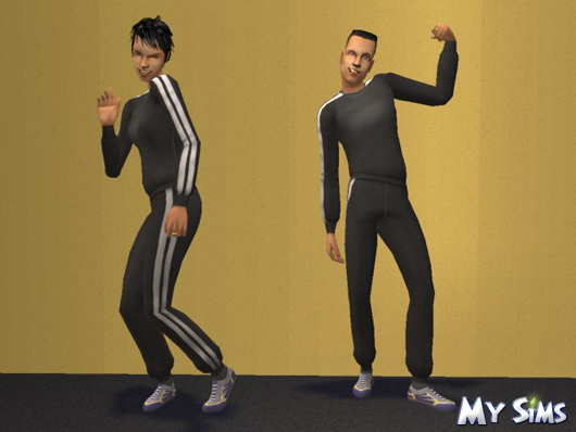 My Sims karrierek