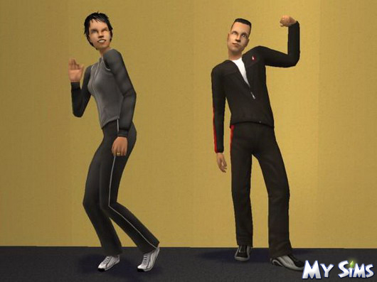 My Sims karrierek