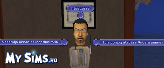 My Sims