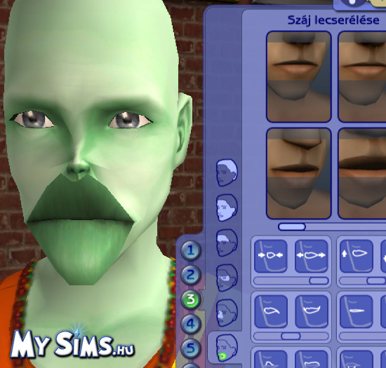 My Sims