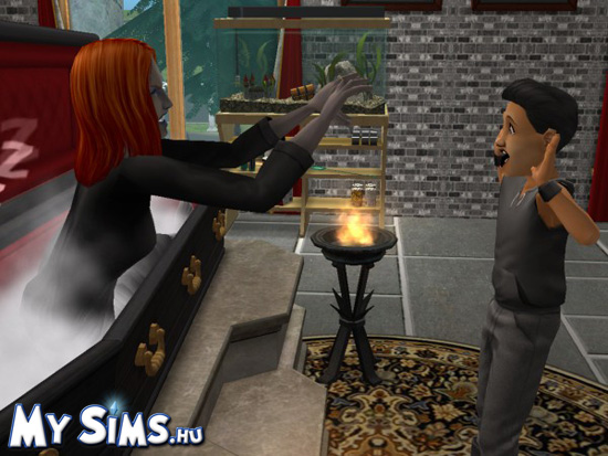 My Sims