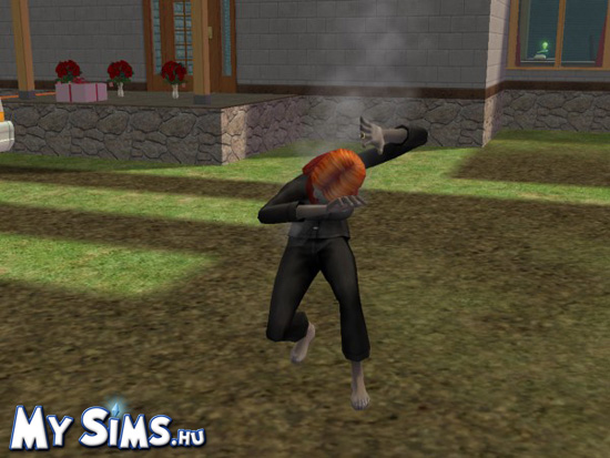 My Sims