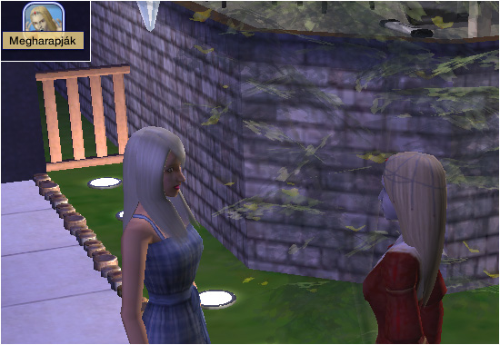 My Sims
