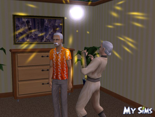 My Sims