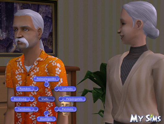 MY Sims
