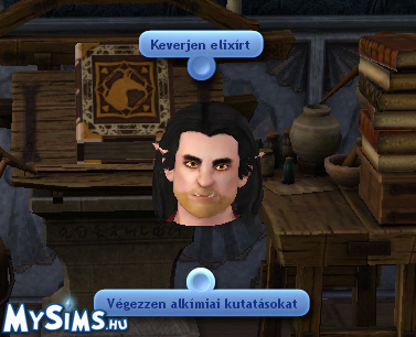 Sims 3