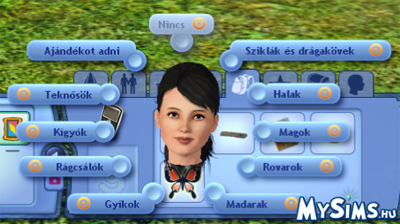 Gyűjteményrendező