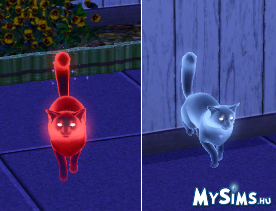 Sims 3