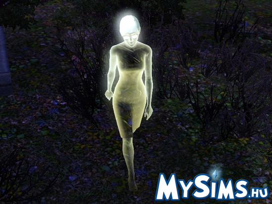 Sims 3