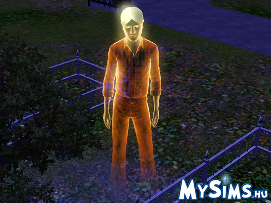 Sims 3