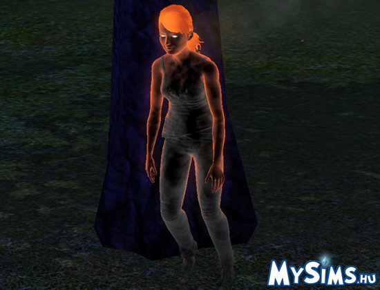 Sims 3
