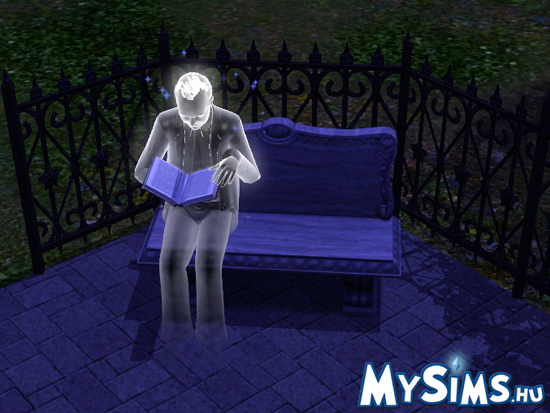 Sims 3
