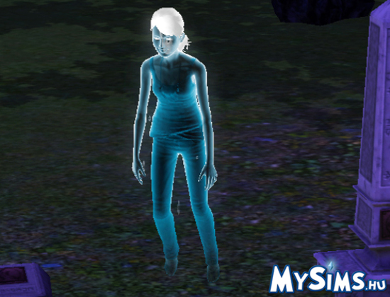Sims 3