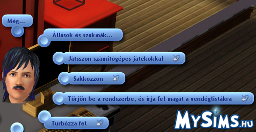 Sims 3