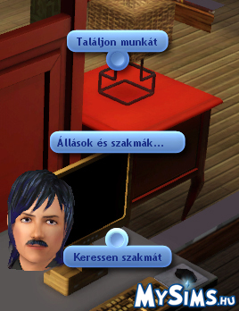 Sims 3
