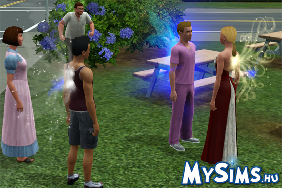 Sims 3