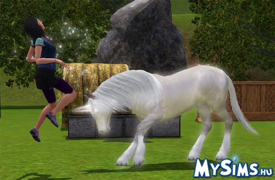 Sims 3