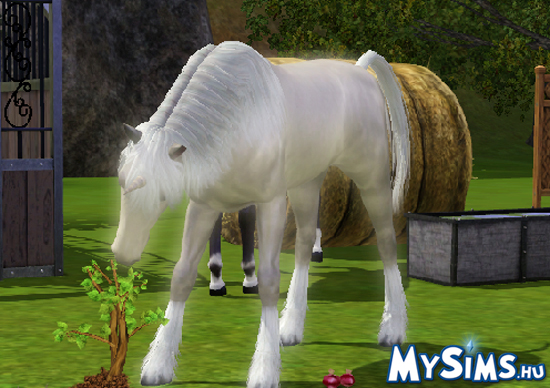 Sims 3