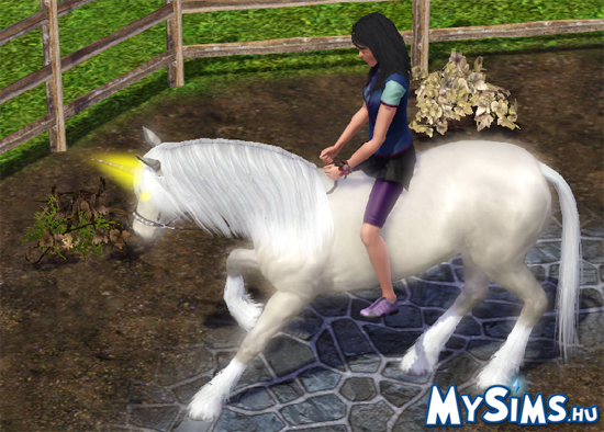 Sims 3