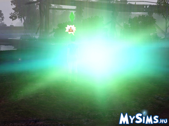Sims 3