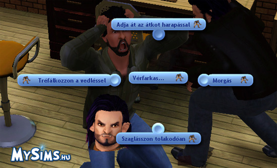 Sims 3