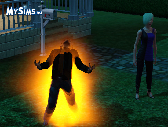 Sims 3