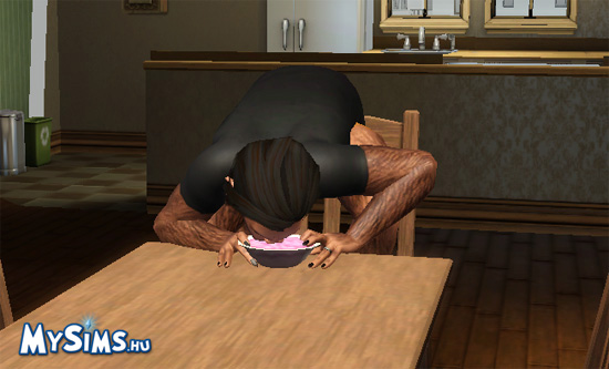 Sims 3