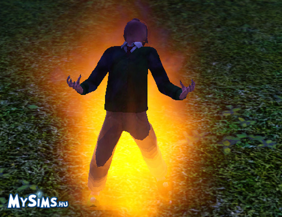 Sims 3