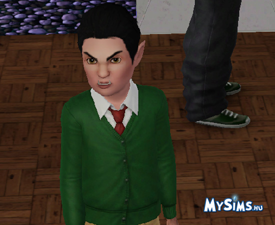 Sims 3