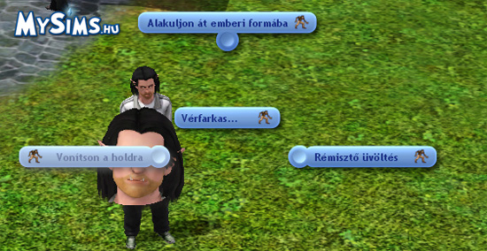 Sims 3