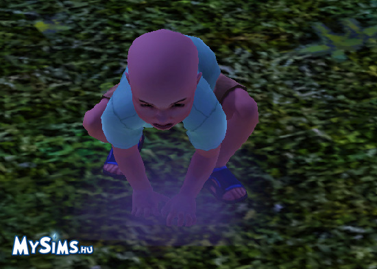 Sims 3