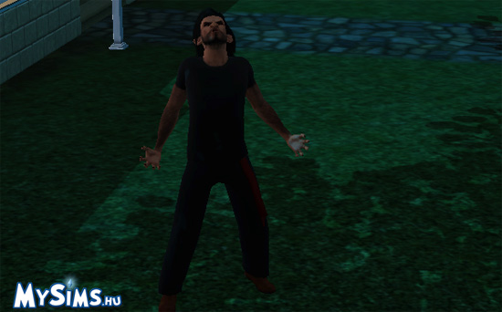 Sims 3