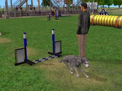 D:\Docs\Gamer\Electronic Arts\The SimsT Állatos Krónikák\Storytelling\Snapshot.bmp