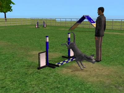 D:\Docs\Gamer\Electronic Arts\The SimsT Állatos Krónikák\Storytelling\Snapshot.bmp