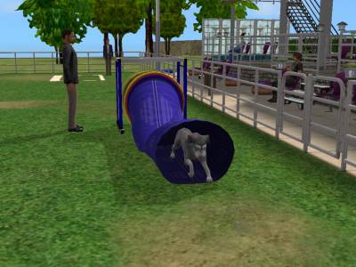 D:\Docs\Gamer\Electronic Arts\The SimsT Állatos Krónikák\Storytelling\Snapshot.bmp
