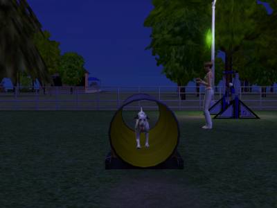 D:\Docs\Gamer\Electronic Arts\The SimsT Állatos Krónikák\Storytelling\Snapshot.bmp