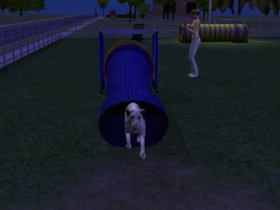 D:\Docs\Gamer\Electronic Arts\The SimsT Állatos Krónikák\Storytelling\Snapshot.bmp